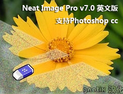 Neat Image Pro v7.0 Ӣƽ