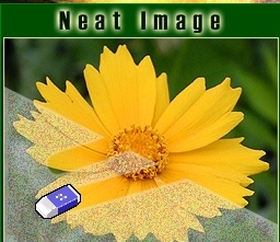 NeatImage ˾_NeatImag