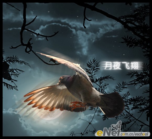合成实例:月夜飞翔