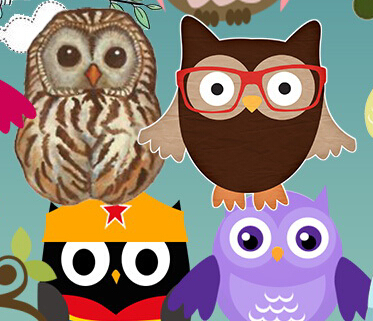 pngͼƬèͷӥ owling