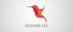 30种经典的羽毛logo设计鉴赏