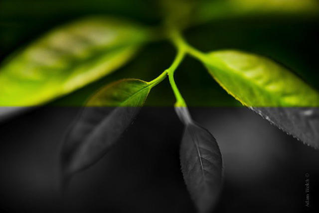 ֪ʲôʱӦڰƬ