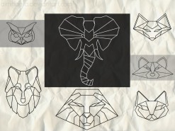 ֽˢ