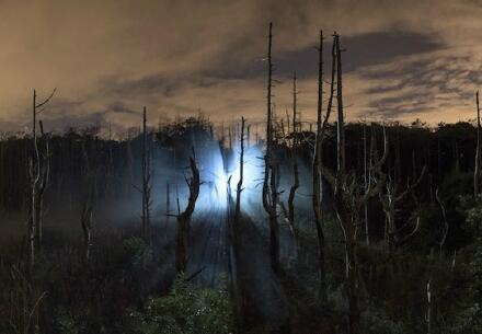 david ogle ӰƷ light